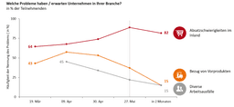 Grafik Befragung zu Problemen