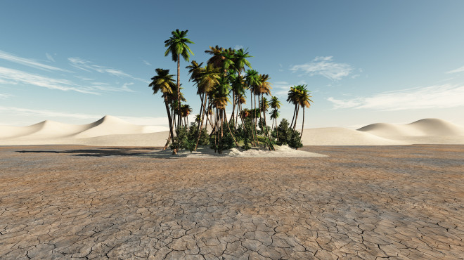 oasi con palme rigogliose in mezzo a terreno arido con dune stagliate sull'orizzonte