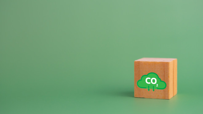 cubetto di legno su sfondo verde erba con nuvoletta disegnata che dice CO2