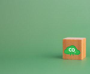 cubetto di legno su sfondo verde erba con nuvoletta disegnata che dice CO2