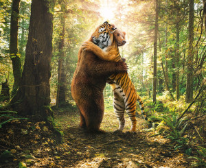 Bär und Tiger umarmen sich - Sujet für das Ja zum Freihandelsabkommen mit Indonesien